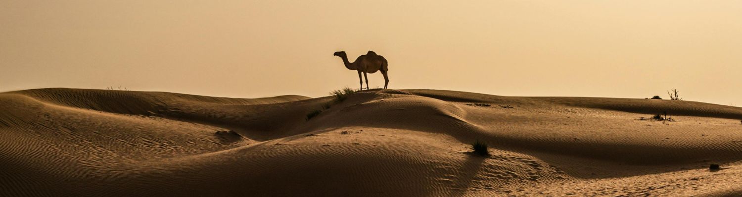 Oman, Viaje Fin de Año con Siente Arabia (2)