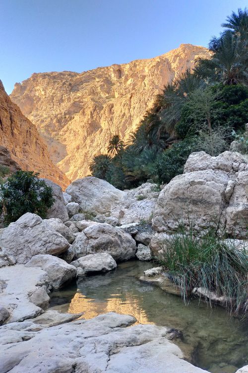 Viaje Fin de Año Omán Siente Arabia