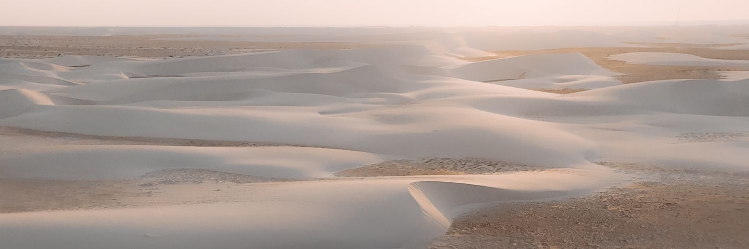Viaje a Socotra, grupo exclusivo Siente Arabia (1)