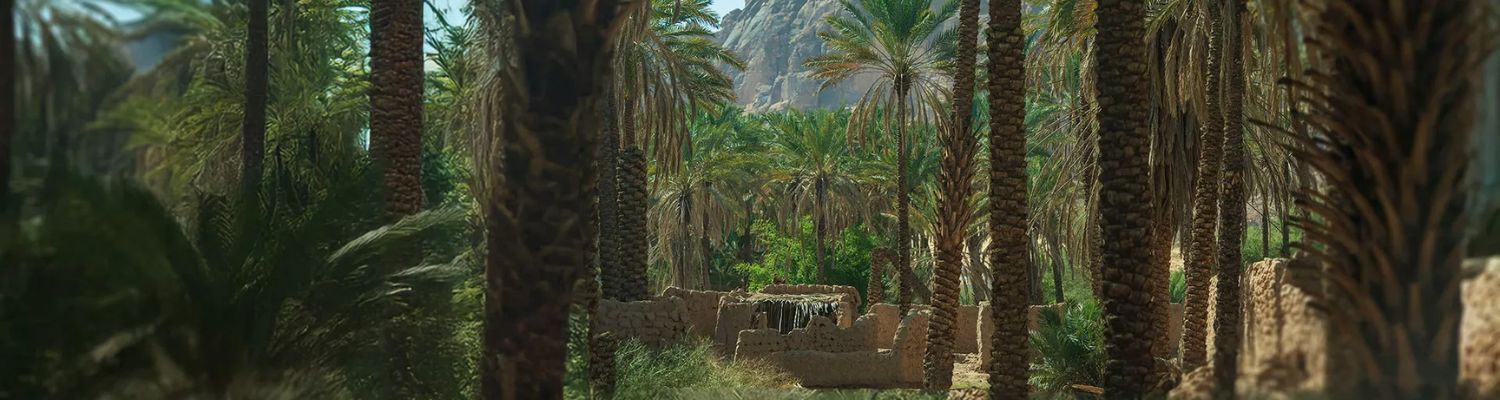 Viaje al norte de Arabia Saudi, el éxodo, Ruta de Moises