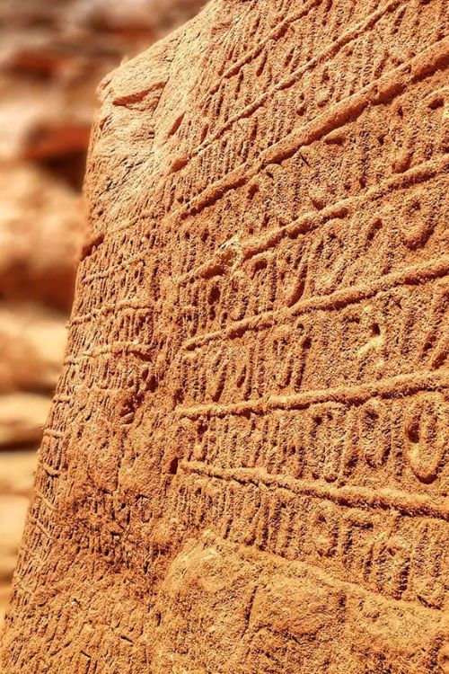 Viaje al norte de Arabia Saudita, la Rutadel Éxodo, inscripciones milenarias