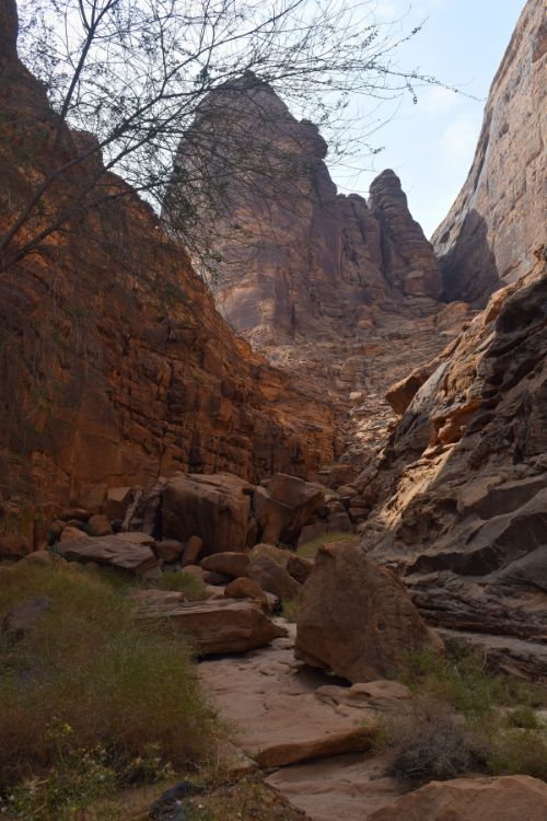 Viaje al norte de Arabia Saudita, la Rutadel Éxodo, petrogrifos