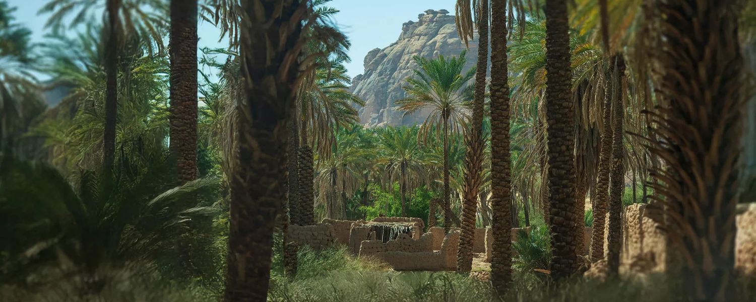 Viaje del Exodo, Norte de Arabia Saudita, arqueologia e historia, viaje exclusivo (2)