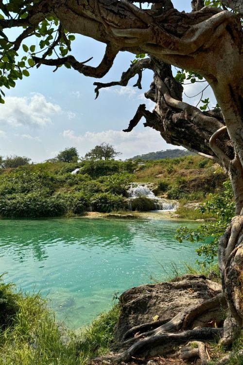 Viajar a Salalah, Omán en Khareef (11)