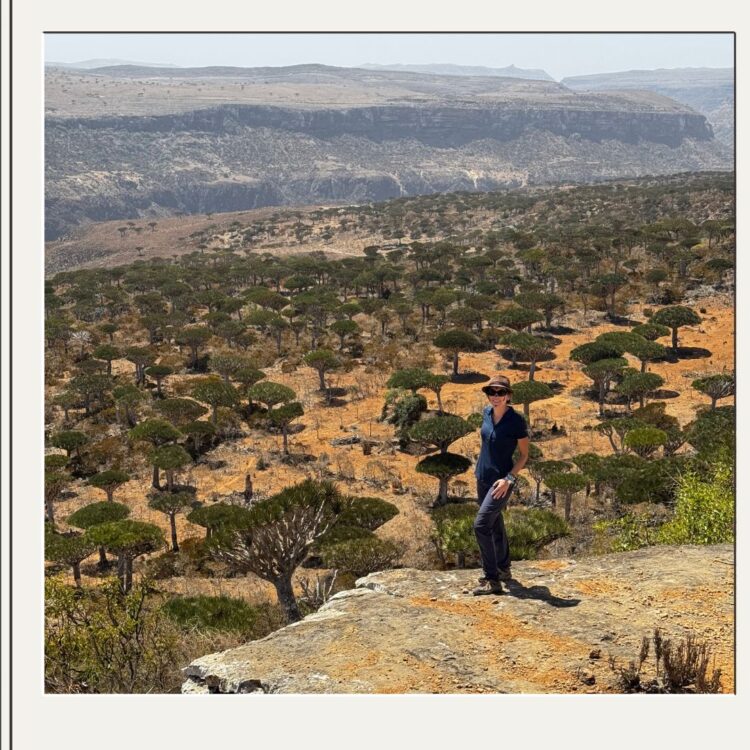 Viaje a Socotra en grupo reducido - Siente Arabia (3)