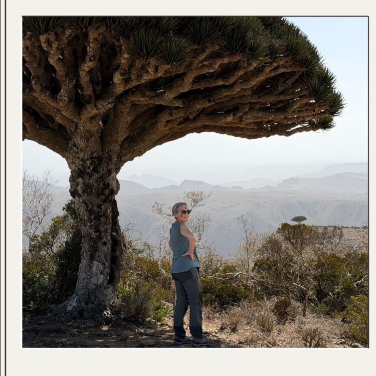 Viaje a Socotra en grupo reducido - Siente Arabia (6)